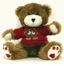 Teddy Bear NannyCam